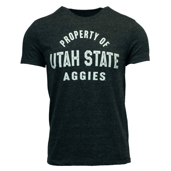 property of utah state champion tshirt charcoal
